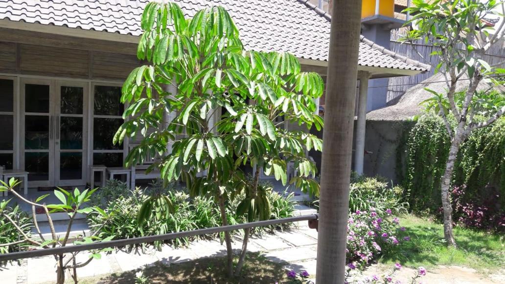Vista Huts Lembongan Hotel Eksteriør billede